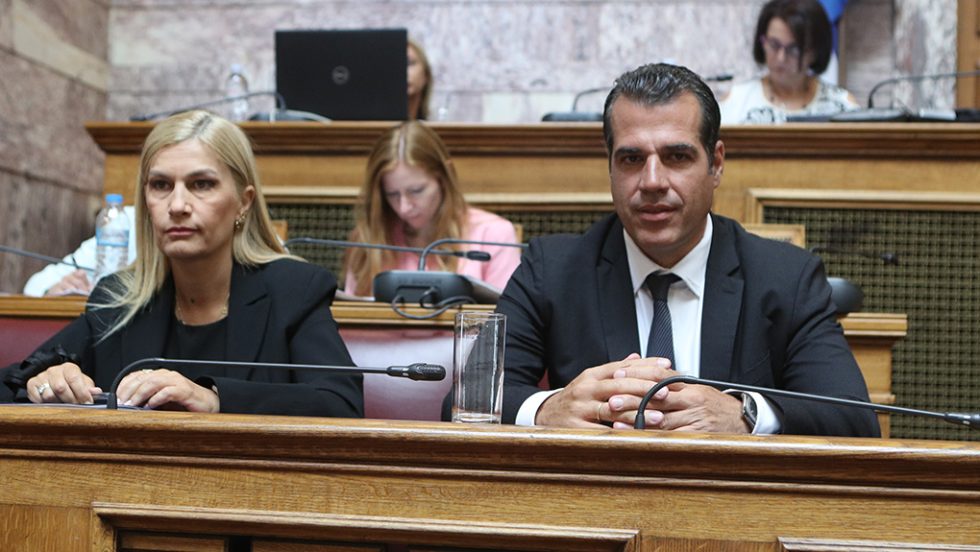 sevi voloudaki - thanasis pleuris